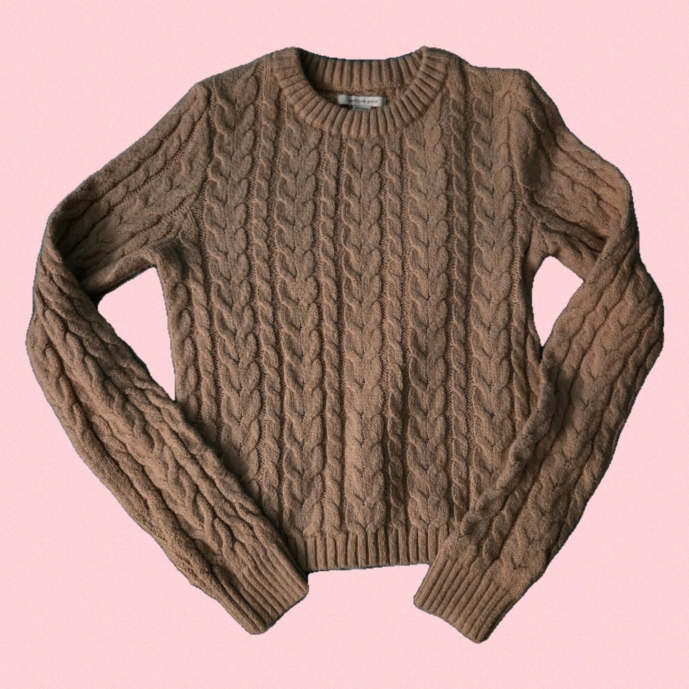 American Eagle Women's Braided Sweater Crop Top Size XS